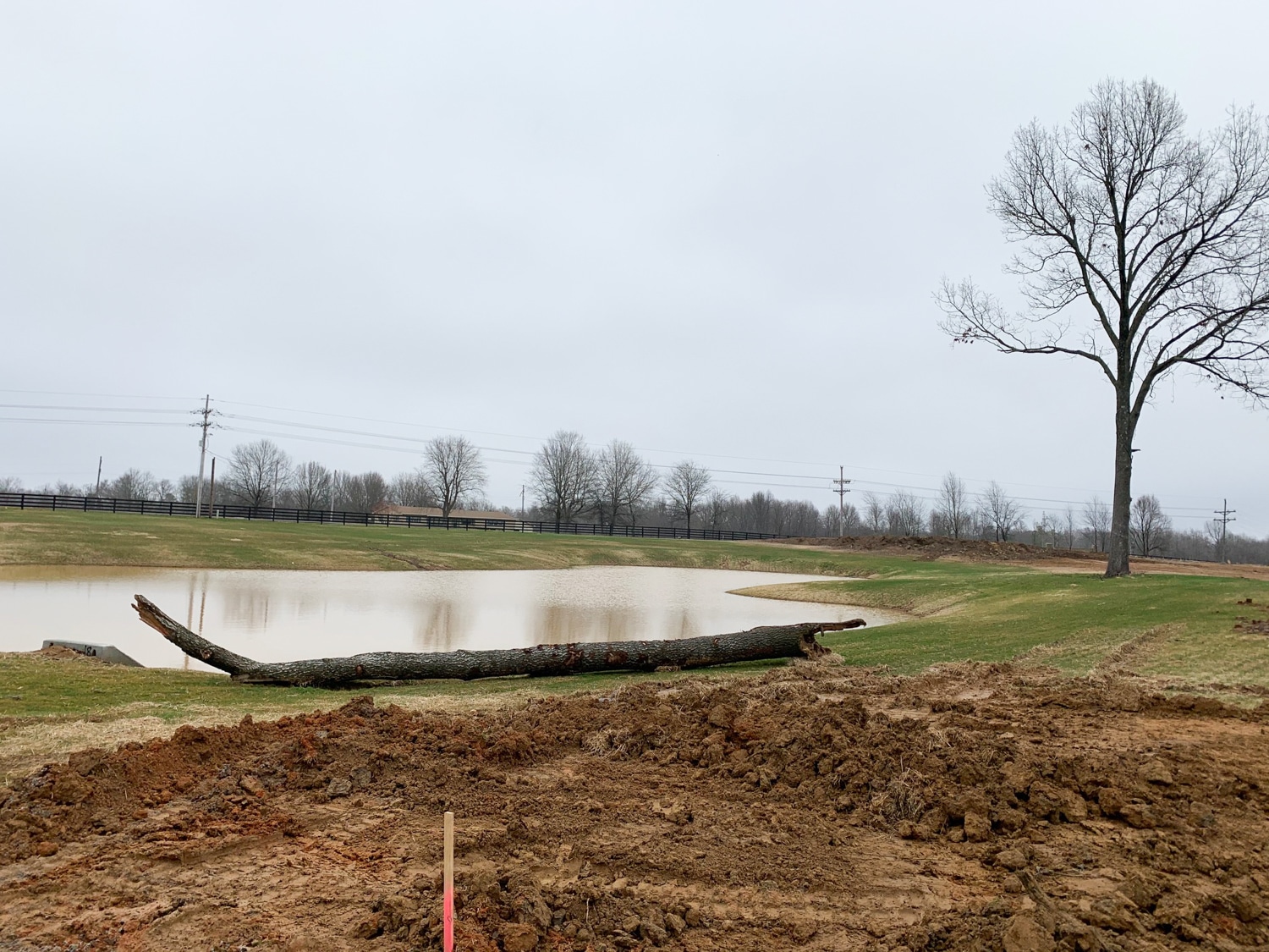 The Paddock at the Oaks Lots Homes Custom Builds Paducah